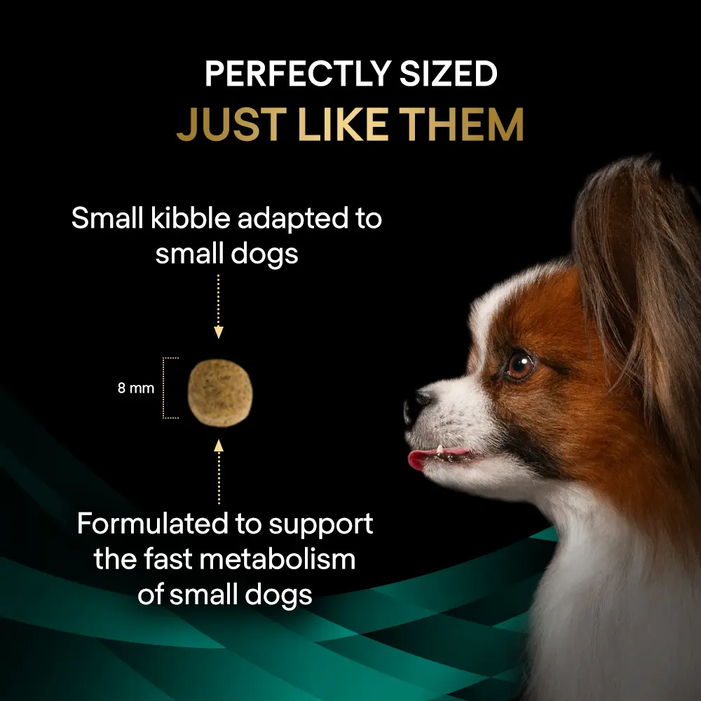 Purina Pro Plan Veterinary Diets EN Gastrointestinal Small & Mini Dry Dog Food 1.5kg