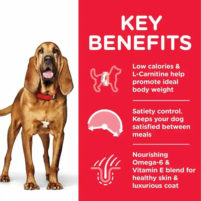 Hill’s Science Plan Light Mature Adult Medium Breed Dry Dog Food with Chicken – 14kg