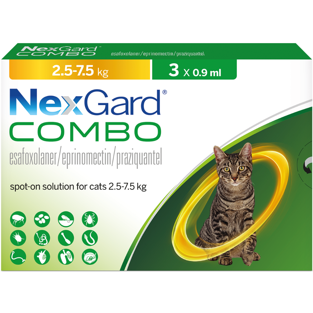 1 applicator / 3 pack