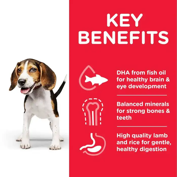 Hill's Science Plan Puppy <1 Medium Breed Dry Food – Lamb & Rice Flavour