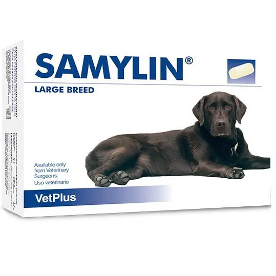 Large Dog