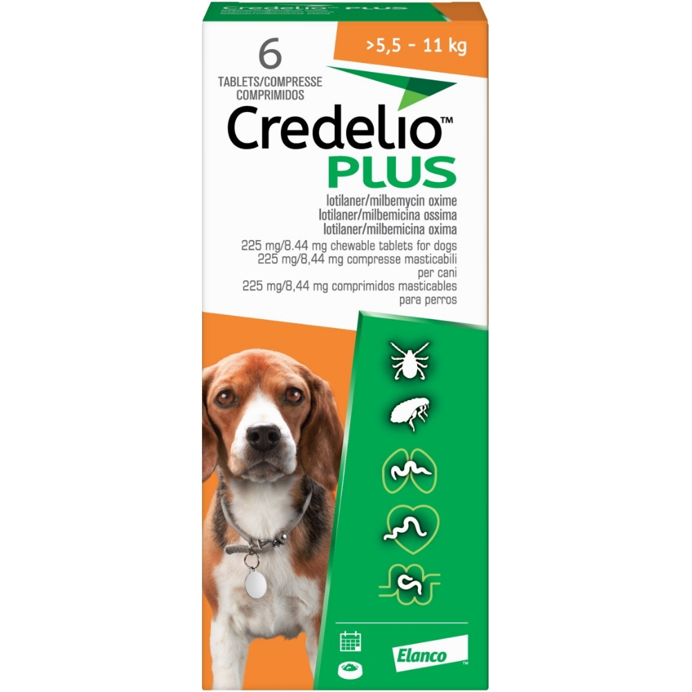 225mg/8.44mg - 6 tablet / 1 pack