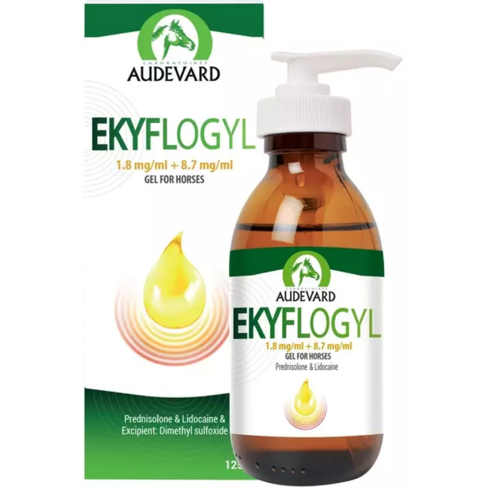 Ekyflogyl 1.8 mg/ml + 8.7 mg/ml Gel for Horses