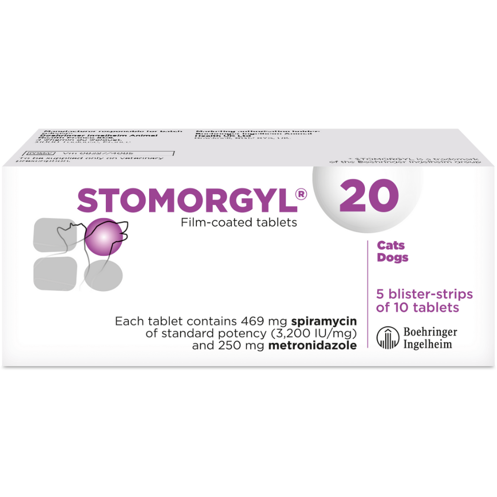 Stomorgyl 250mg, 1500000IU -1 tablet / 1 pack