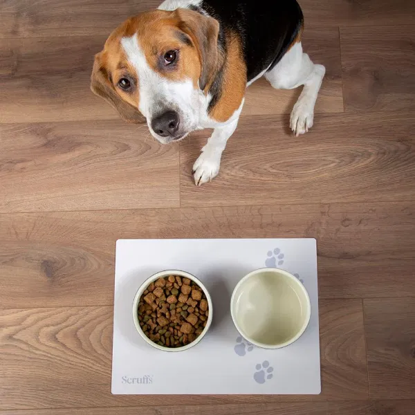 Scruffs 40 x 30cm Pet Placemat