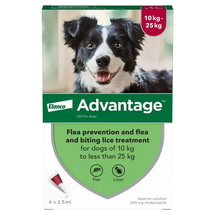 Dogs weighing 10 - 25kg