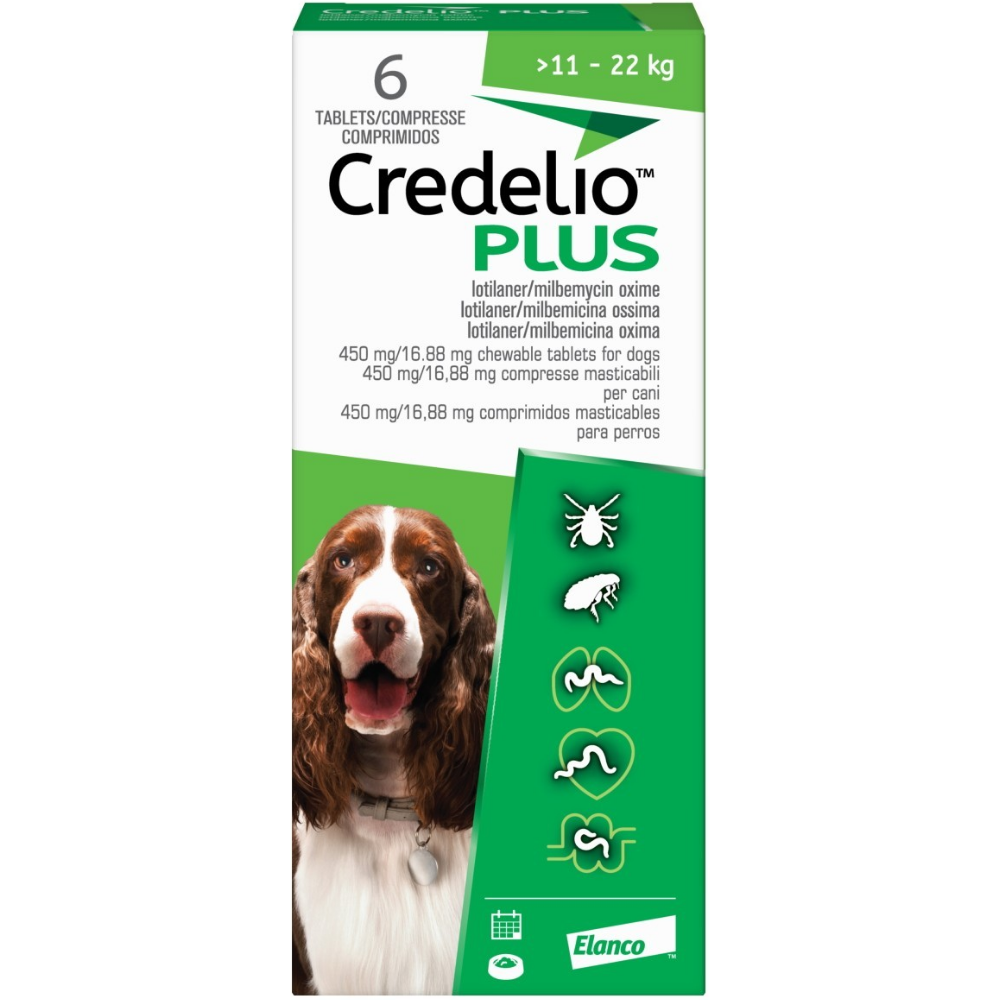 450mg/16.88mg - 6 tablet / 1 pack