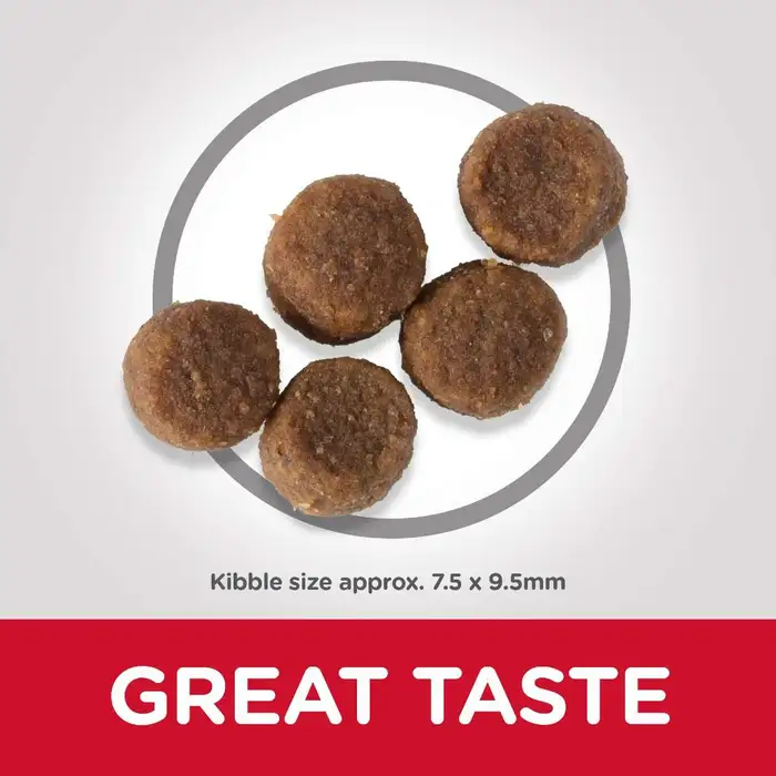 Hill’s Science Plan Puppy <1 Medium Breed Dry Food with Chicken