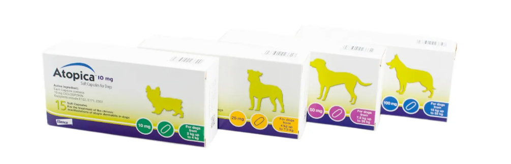 Atopica Soft Capsules – Canine Use
