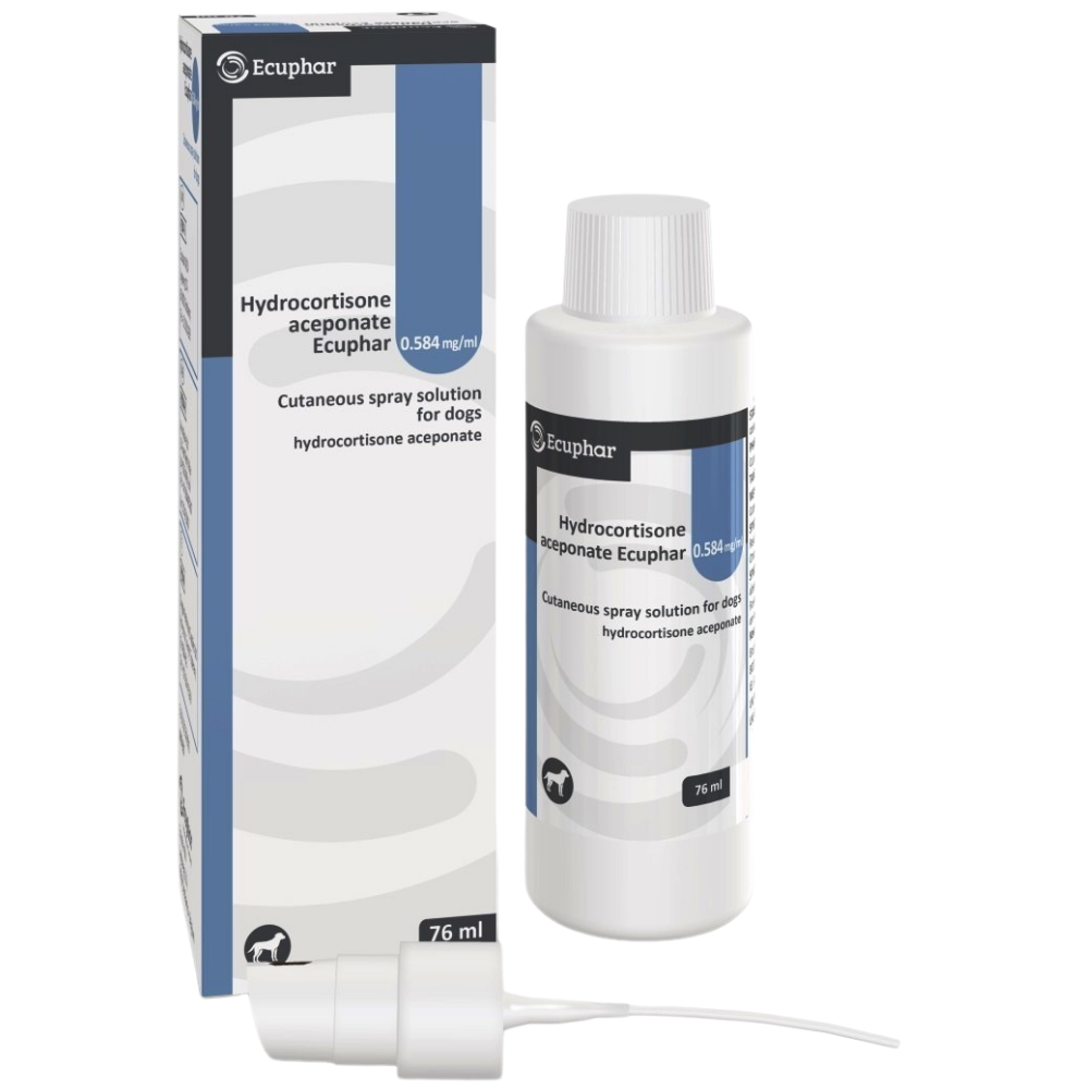 Animal Care Hydrocortisone Aceponate 0.584 mg/ml Cutaneous Spray Solution for Dogs