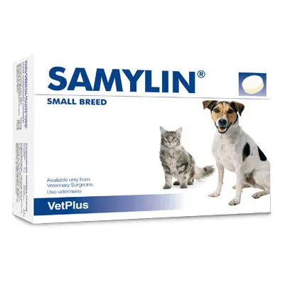 Cat/Small Dog