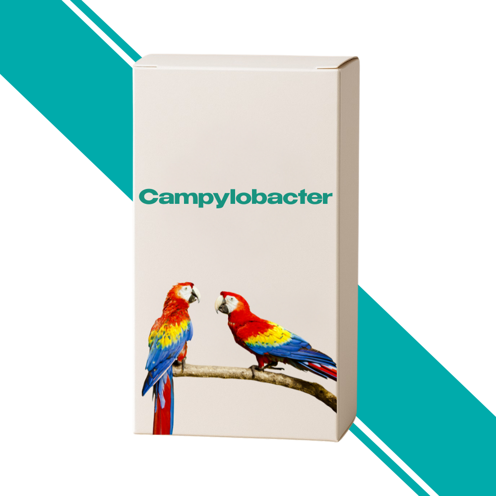 Campylobacter