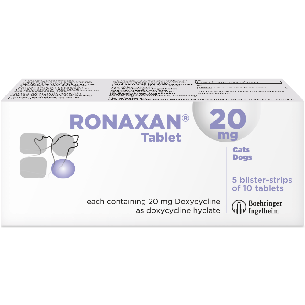 20mg