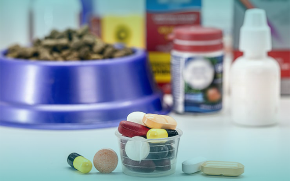 Top 5 Essential Pet Medicines Every Owner Should Have